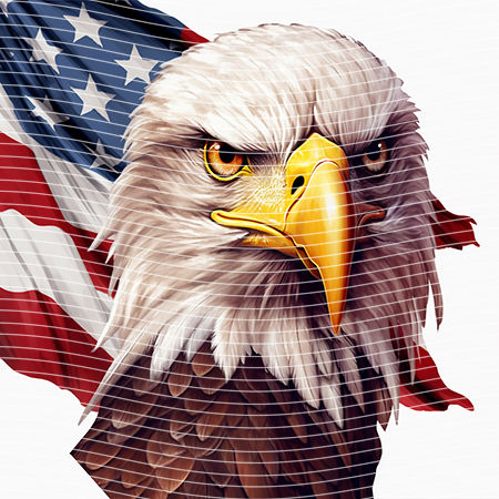 20oz integrate-EJ-10523